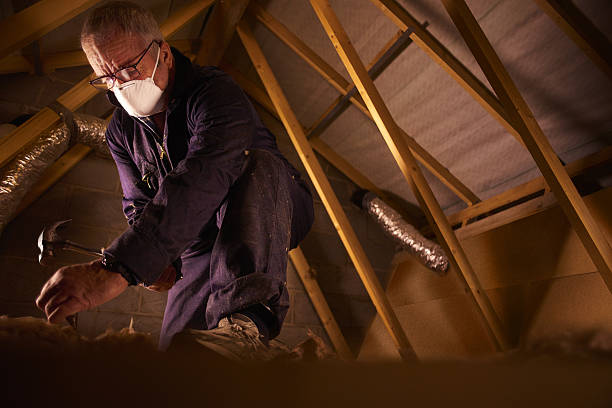 Best Residential Insulation in Hearne, TX